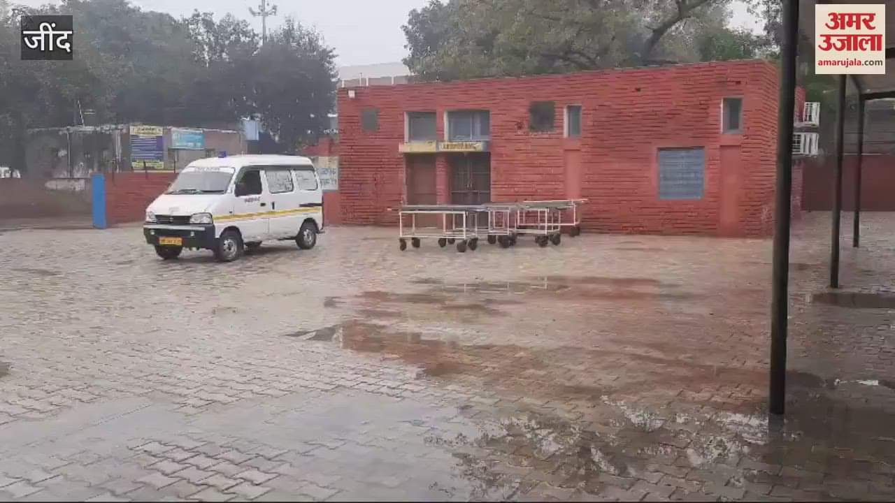 VIDEO : अनियंत्रित होकर पेड़ से टकराई गाड़ी, चालक की मौत