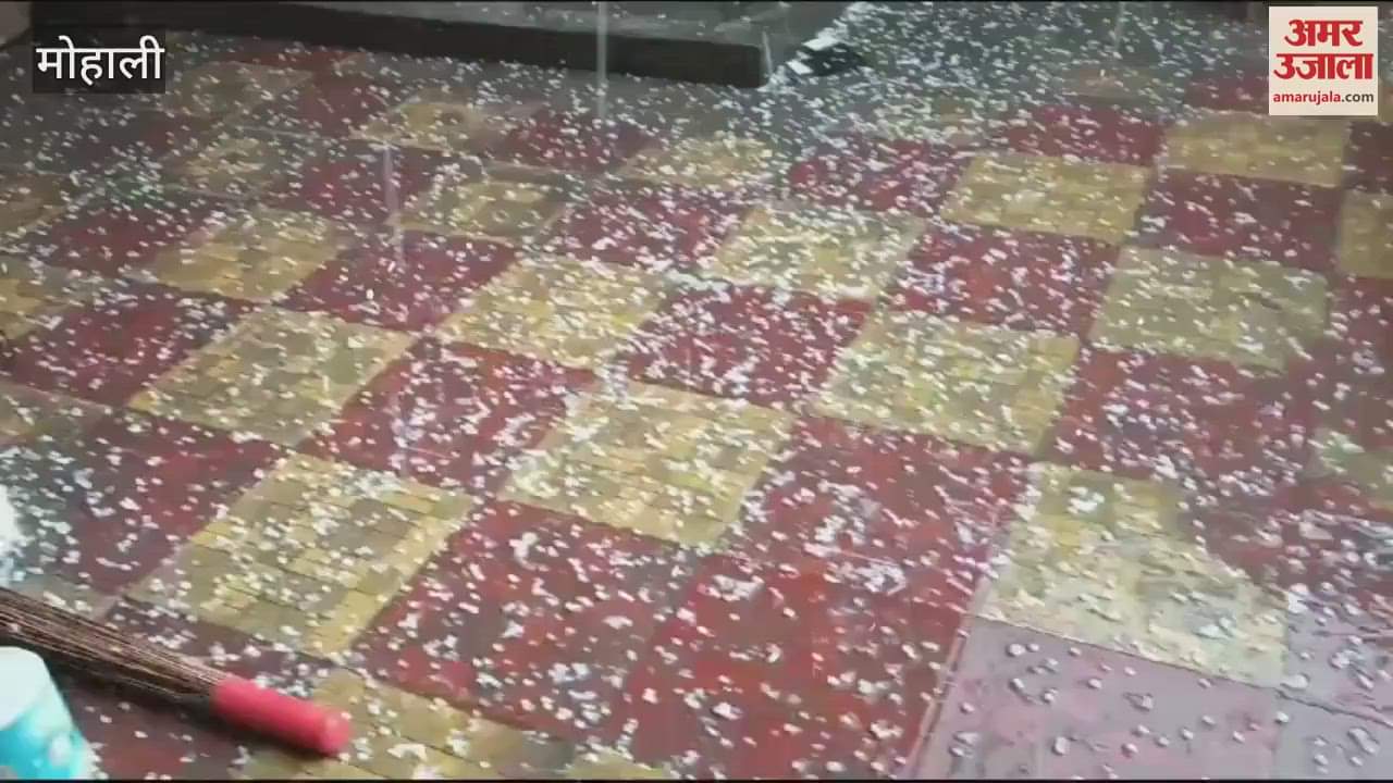 VIDEO : मोहाली में बारिश के साथ गिरे ओले
