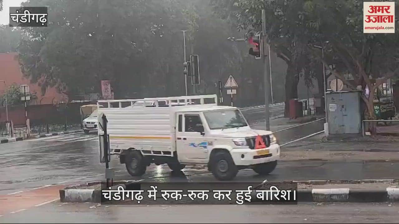 VIDEO : कूल-कूल चंडीगढ़, बारिश के बाद बढ़ी ठंड