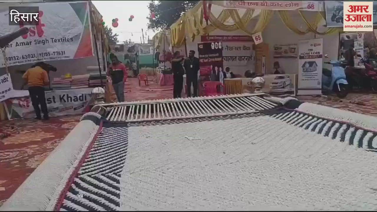 VIDEO : unique bed came to Hisar Swadeshi fair, 20 men are needed to lift it