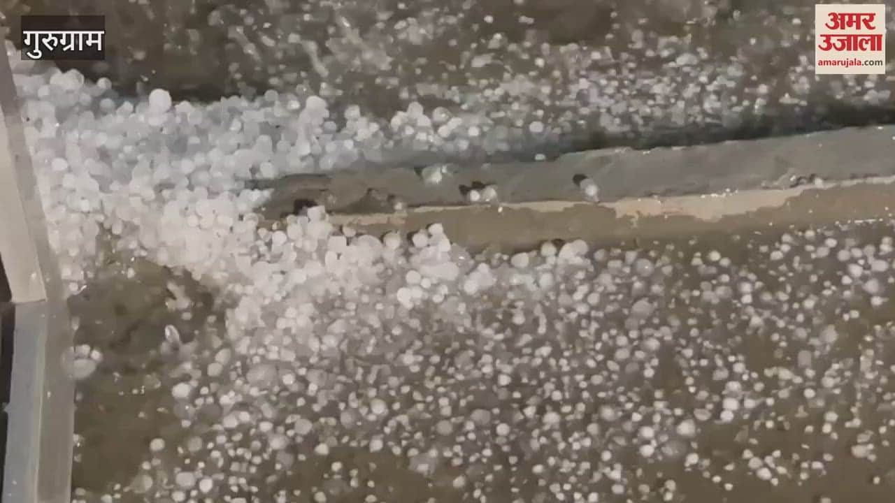 VIDEO : Hailstorm occurred in Pataudi area of Gurugram late Friday night