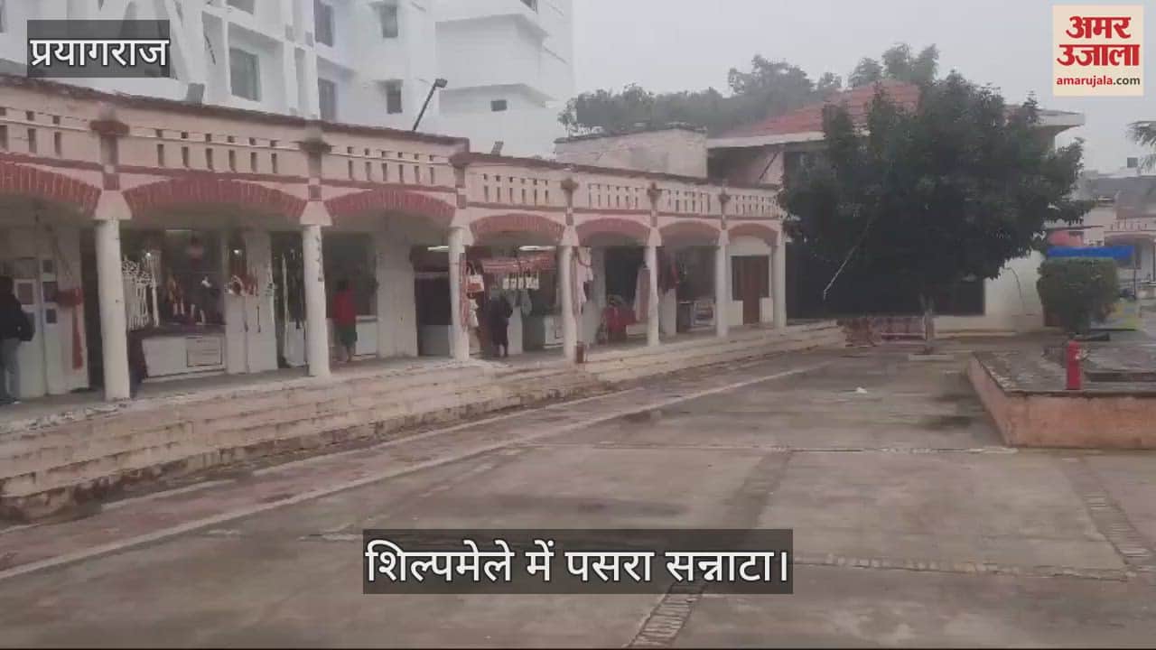 VIDEO : After change in weather, buyers decreased in craft fair, there was silence in the afternoon