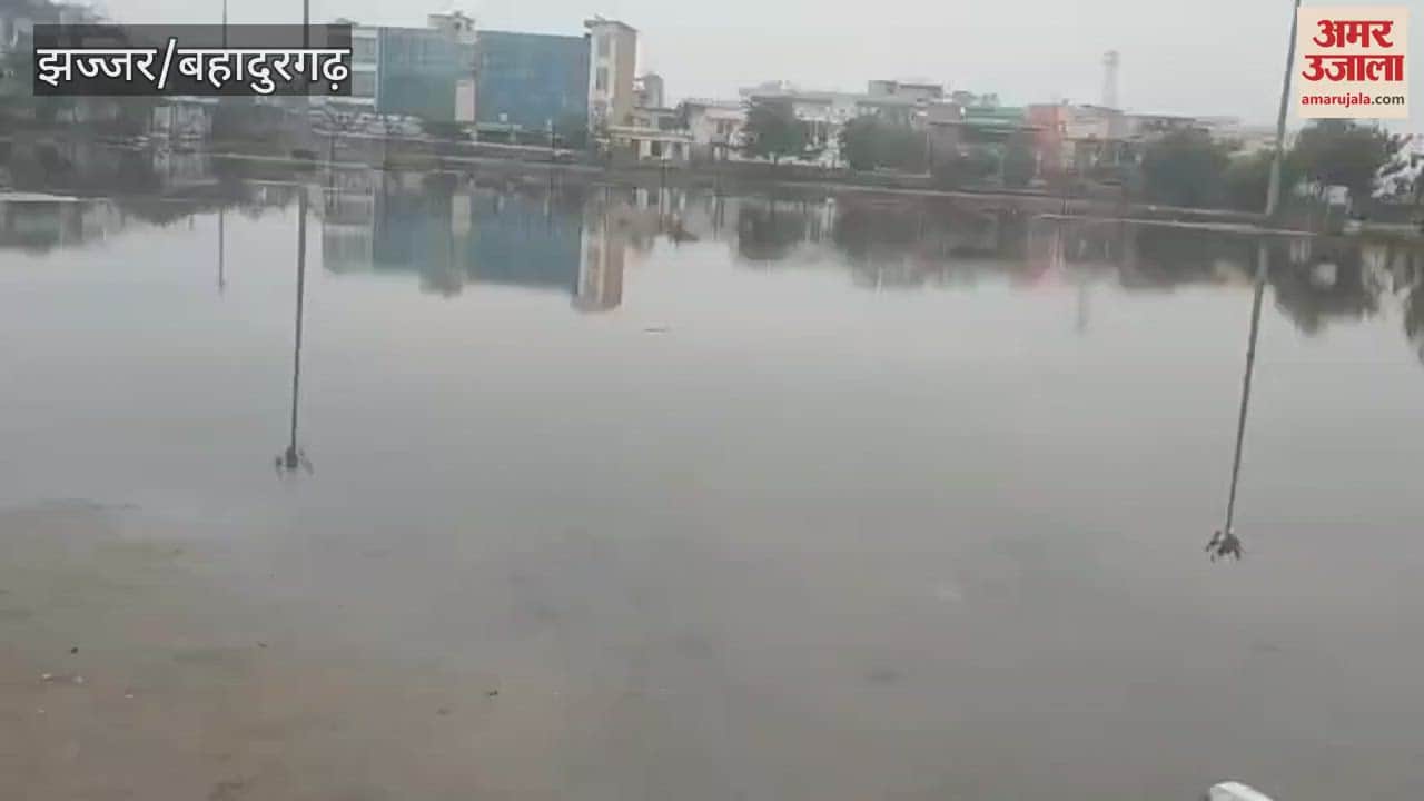 VIDEO : झज्जर में सुबह हुई बारिश, दिनभर छाए बादल, तापमान 18 डिग्री