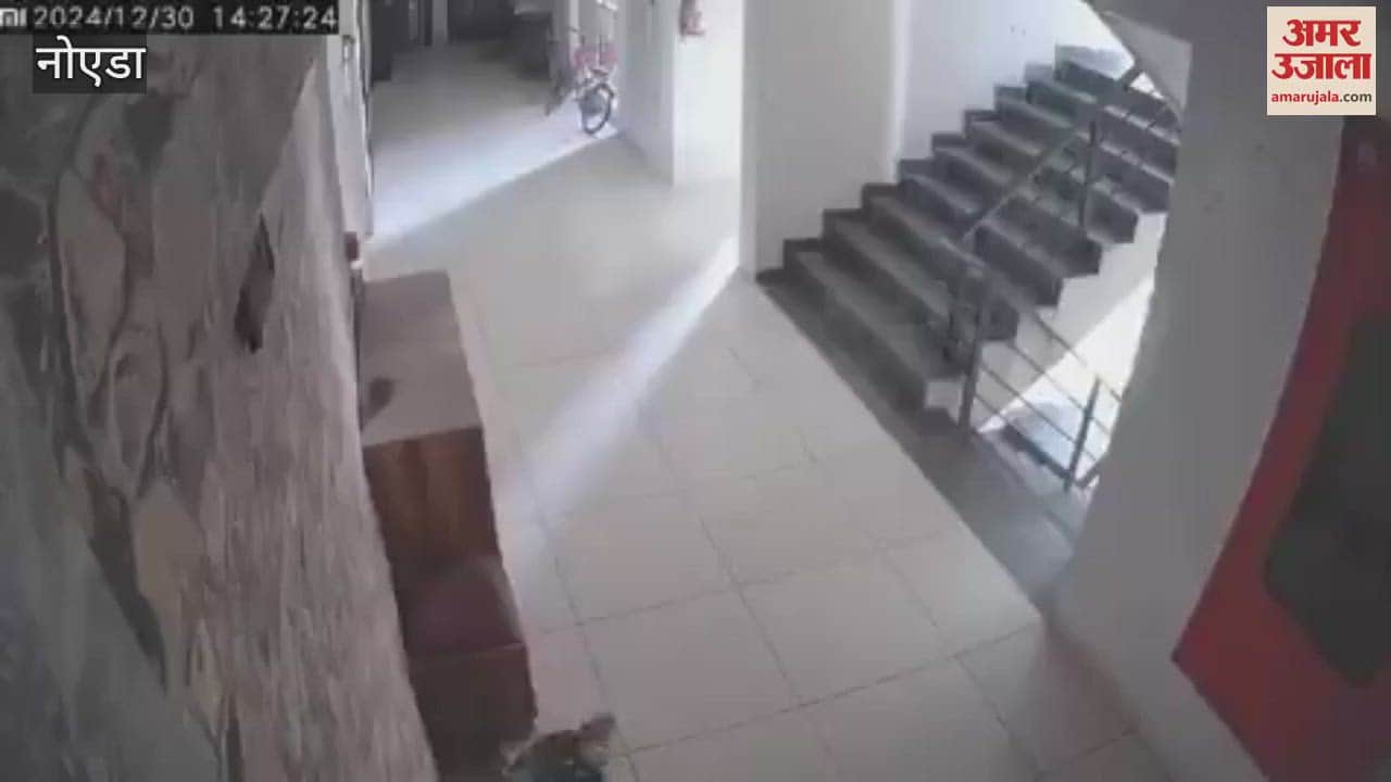 VIDEO : Video of a delivery boy stealing slippers from inside a Greater Noida society goes viral