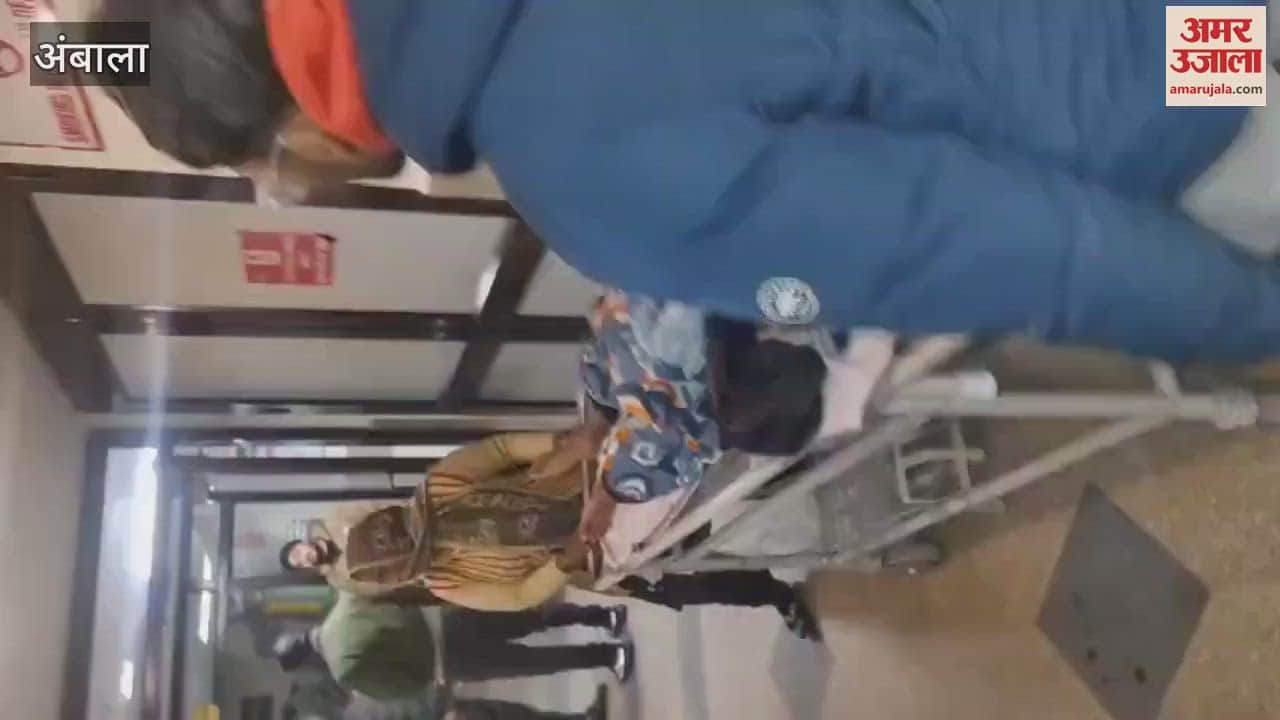 VIDEO : अंबाला में कुत्तों ने युवक को नोचा, एक साथ चार रॉटवीलर ने किया हमला