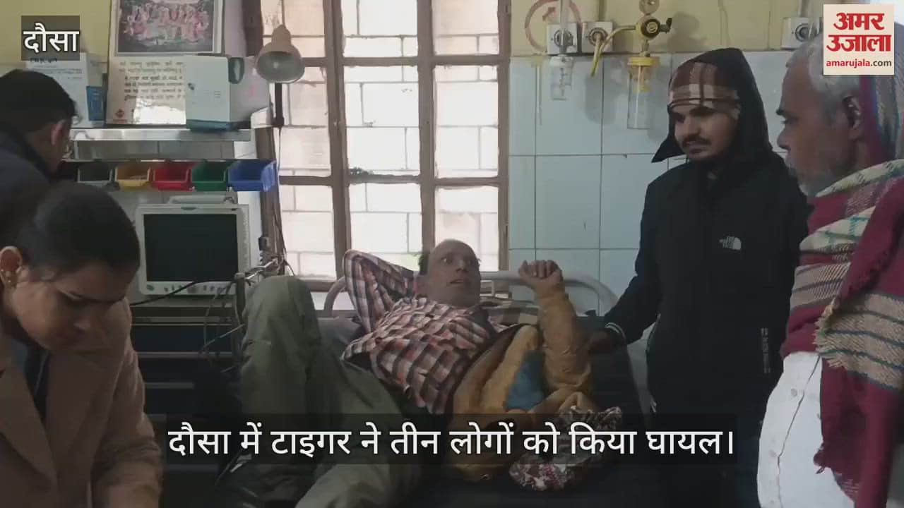 टाइगर का आतंक