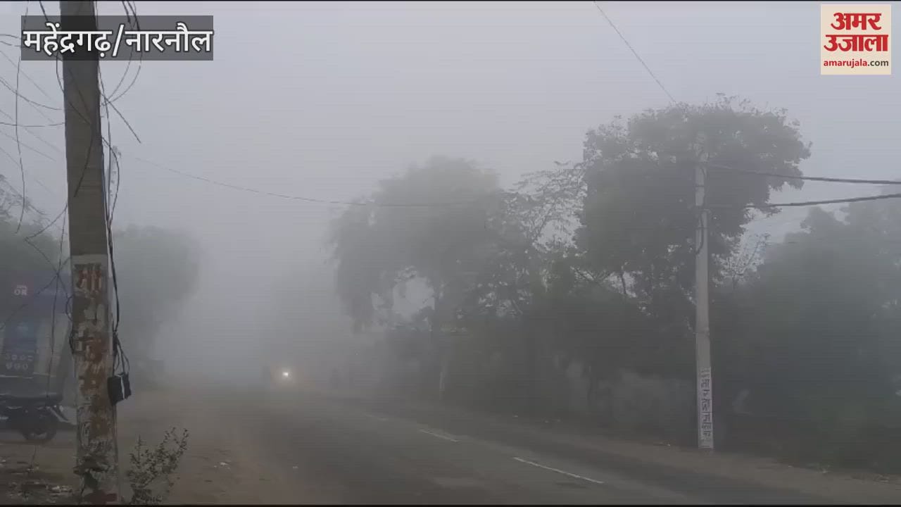 VIDEO : कोहरे ने वाहनों की रोकी रफ्तार, ठंड से जनजीवन प्रभावित