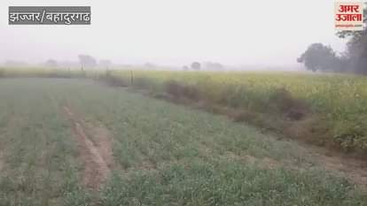 VIDEO : झज्जर में नए साल की शुरुआत, पाले के साथ 