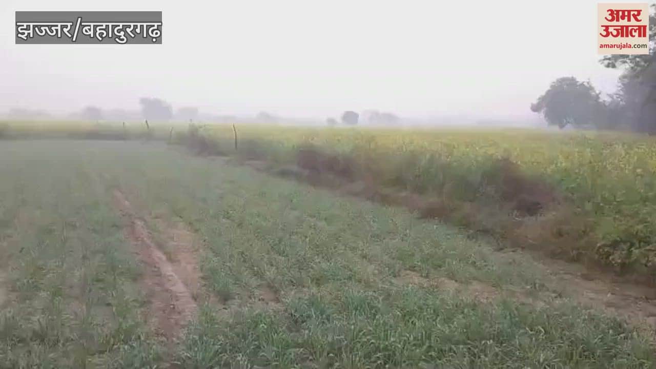 VIDEO : झज्जर में नए साल की शुरुआत, पाले के साथ 