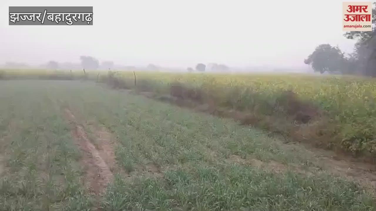 VIDEO : झज्जर में नए साल की शुरुआत, पाले के साथ 