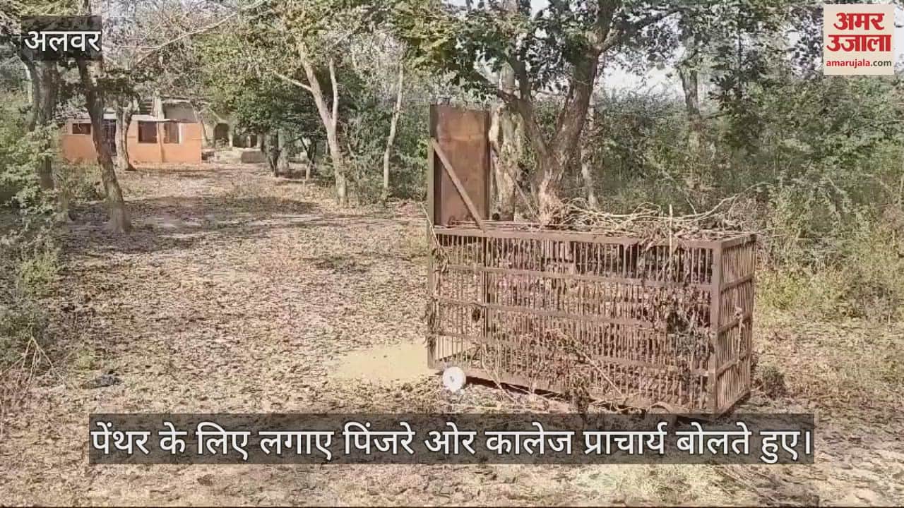 Alwar News: Doubt over panther caught in Company Bagh, college administration demands clarification