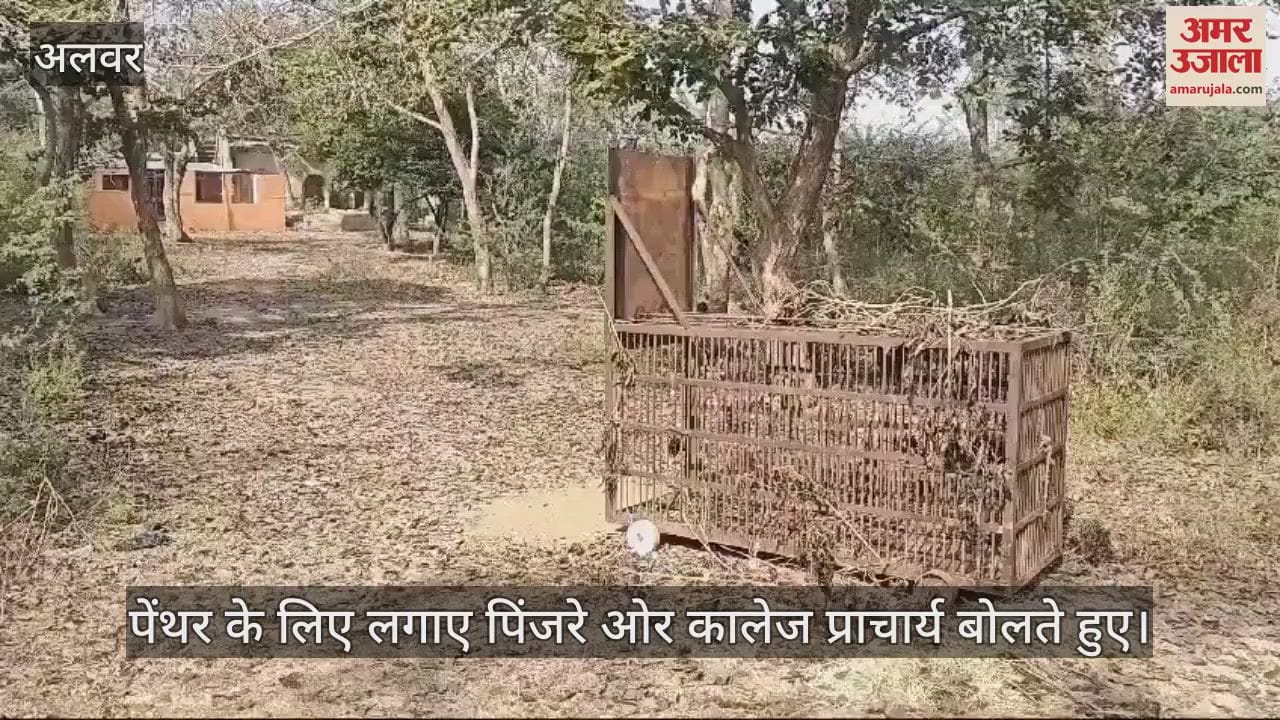 Alwar News: Doubt over panther caught in Company Bagh, college administration demands clarification