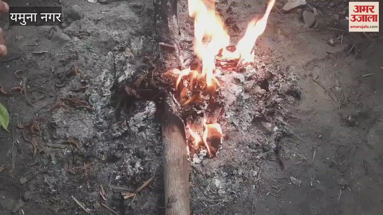 VIDEO : पारा लुढ़का, बर्फ से पहाड़ जमे, बढ़ी ठिठुरन, अलाव का सहारा