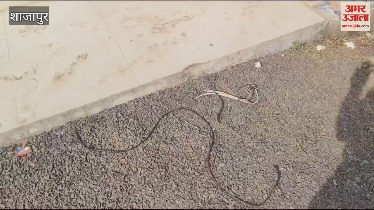 Shajapur News Thieves raid gas warehouse miscreants steal about 30 gas tanks watch video