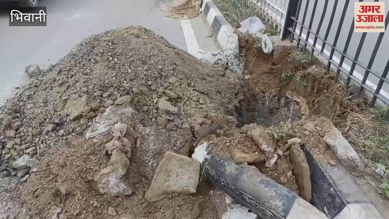 VIDEO : भिवानी-हांसी फोरलेन मार्ग के सुंदरीकरण का नगर परिषद ने शुरू किया काम