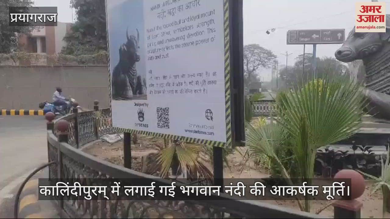 VIDEO : Huge statue of Lord Nandi installed in Kalindipuram, decorated intersection
