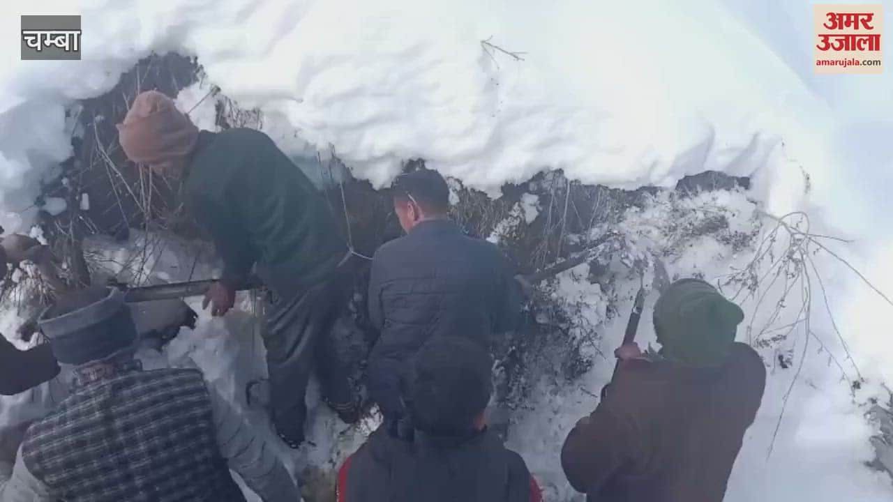 VIDEO : Villagers restored drinking water supply by walking seven kms in 1.5 feet of snow