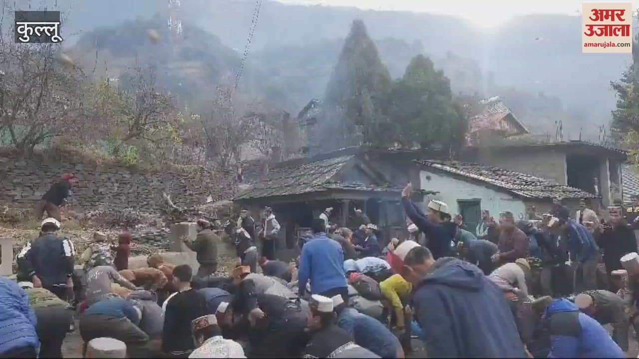 VIDEO : Worship of Diyaali with barley and walnuts Kharahal valley smelled of dishe