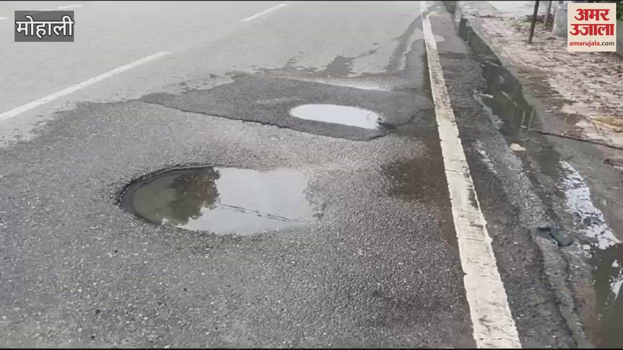 VIDEO : मोहाली में ओवरफ्लो सीवरेज से निकल रहा गंदा पानी, रेजिडेंट्स परेशान