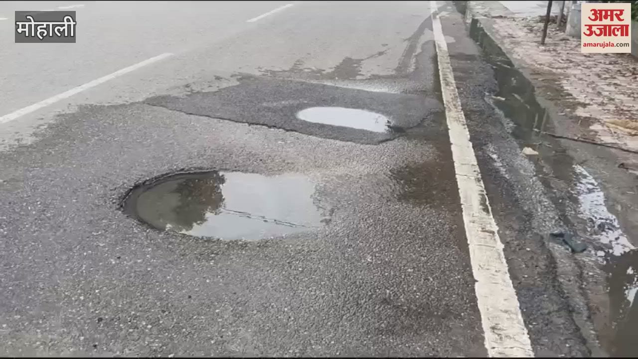 VIDEO : मोहाली में ओवरफ्लो सीवरेज से निकल रहा गंदा पानी, रेजिडेंट्स परेशान