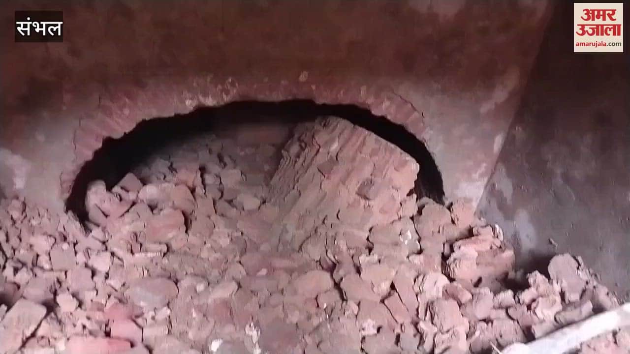 VIDEO : Excavation up to 15 feet in the ancient stepwell of Chandausi, traces of doors found