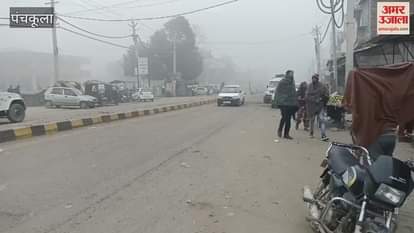 VIDEO : Fog in Raipurrani