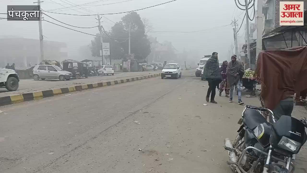VIDEO : Fog in Raipurrani