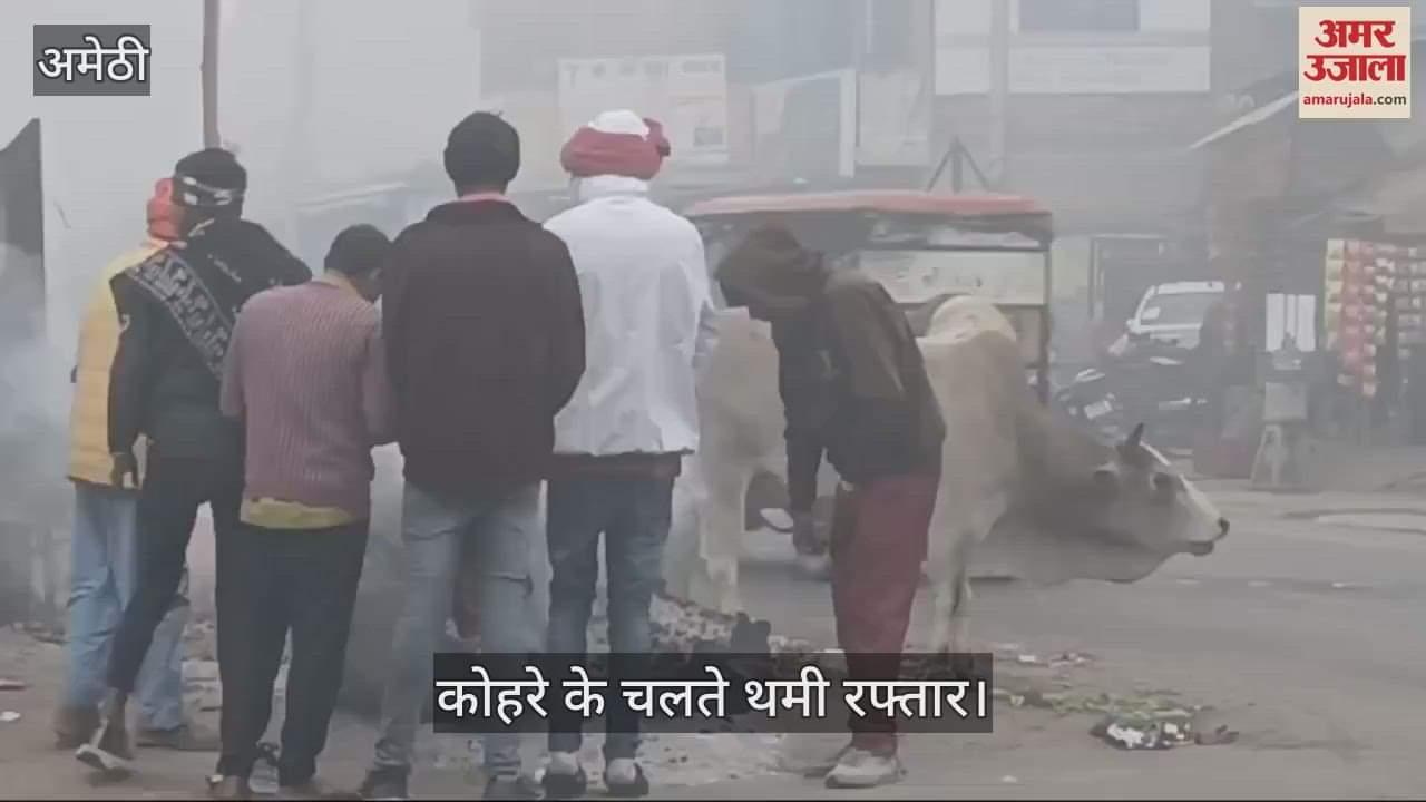 VIDEO : Amethi: कोहरे ने थामी वाहनों की रफ्तार, सर्द हवाओं से कांपा जनमानस, घरों में दुबके लोग