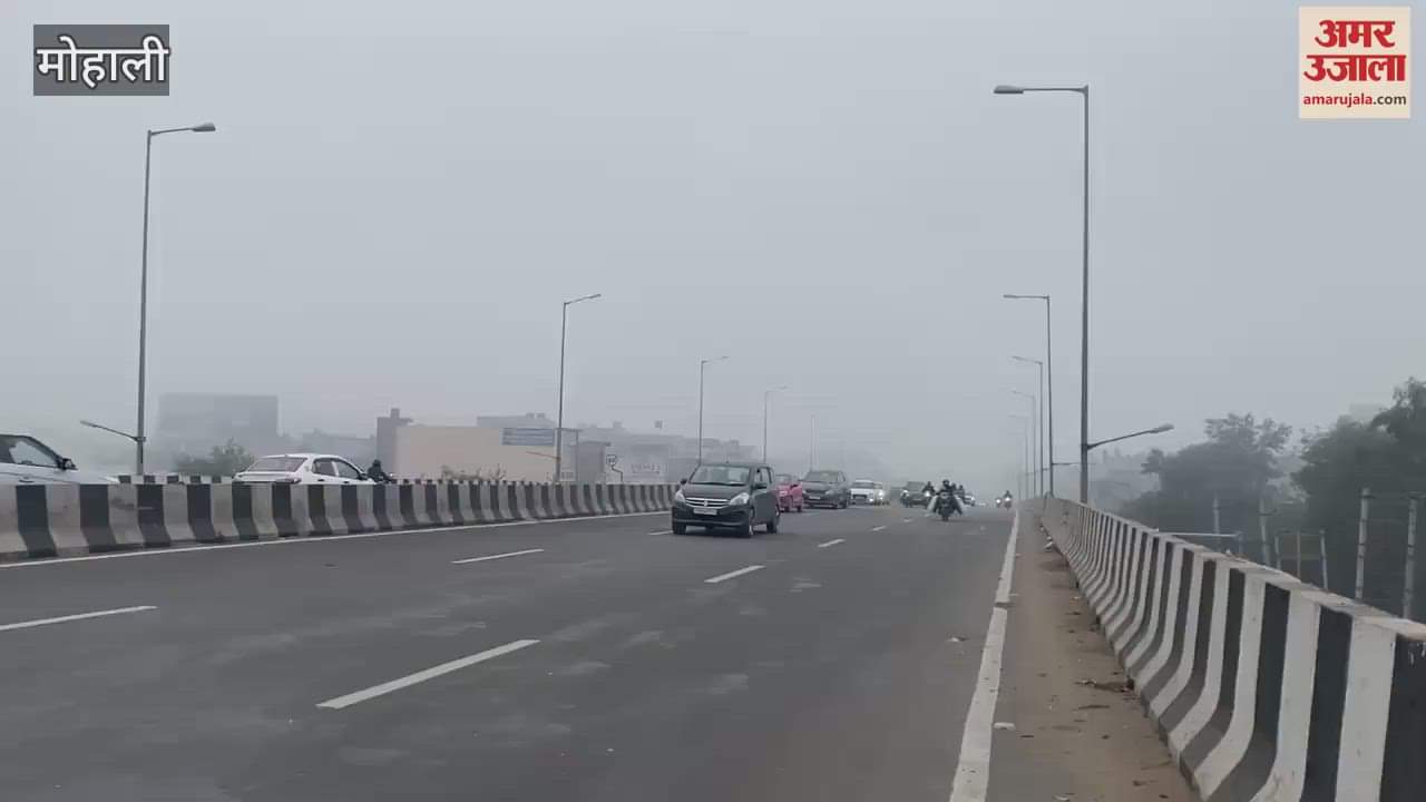 VIDEO : Fog in Mohali