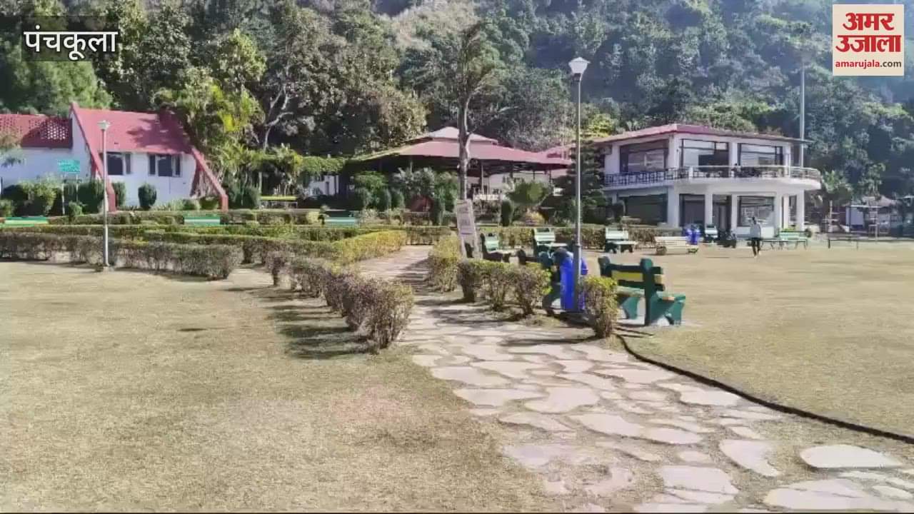 VIDEO : sunny day in morni