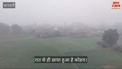 VIDEO : श्रावस्ती: सुबह 10 बजे भी नहीं छंटा कोहरा, भिनगा में रात से बरस रहा कोहरा