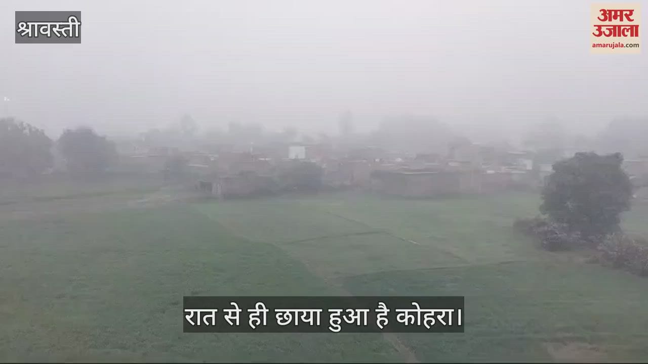 VIDEO : श्रावस्ती: सुबह 10 बजे भी नहीं छंटा कोहरा, भिनगा में रात से बरस रहा कोहरा