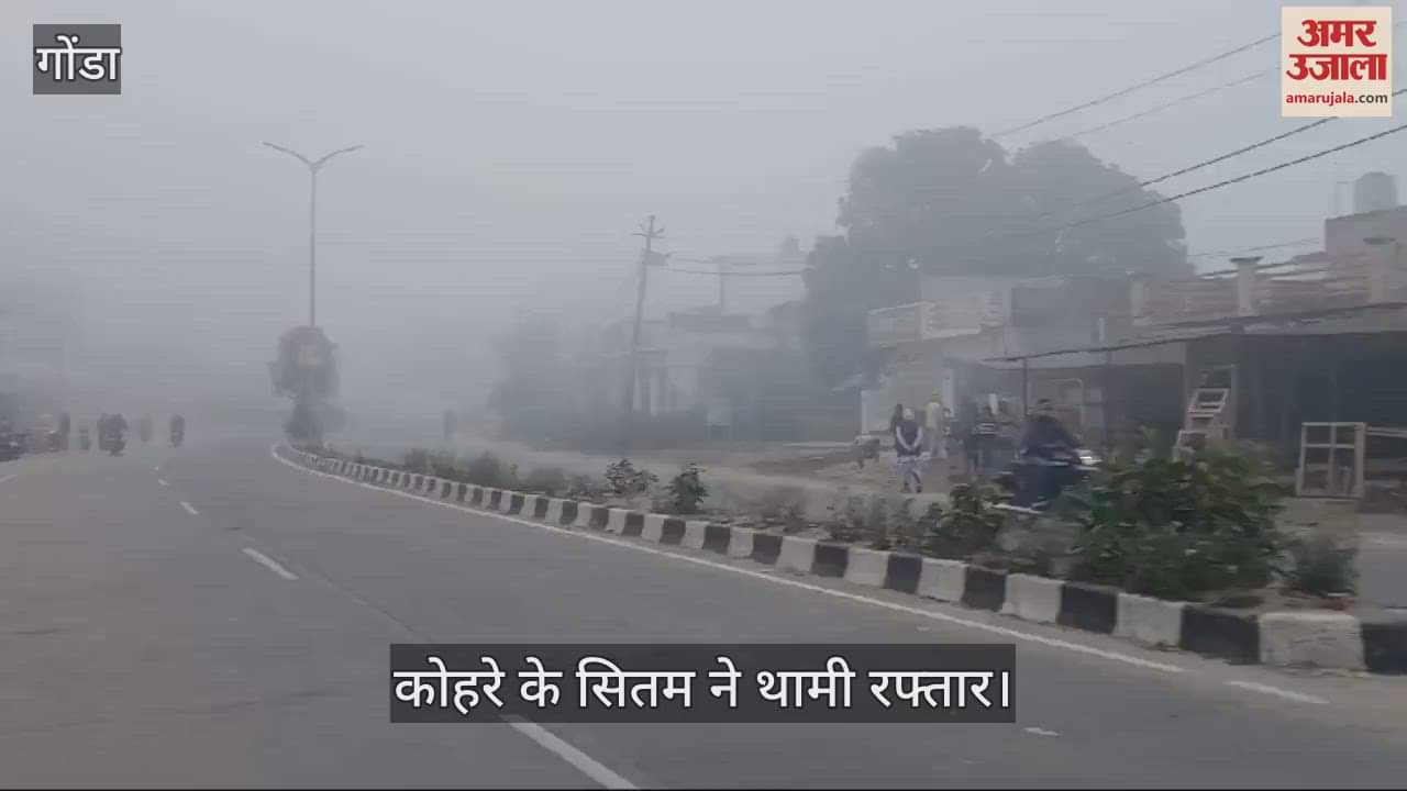 VIDEO : Gonda: पूरे जिले में छाया भीषण कोहरा, 20 मीटर से भी कम हो गई दृश्यता