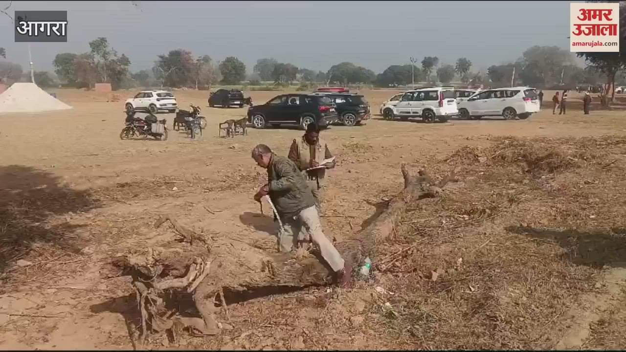 VIDEO : कॉलोनी के लिए हरे पेड़ों पर चला दी आरी, जांच करने पहुंची टीम
