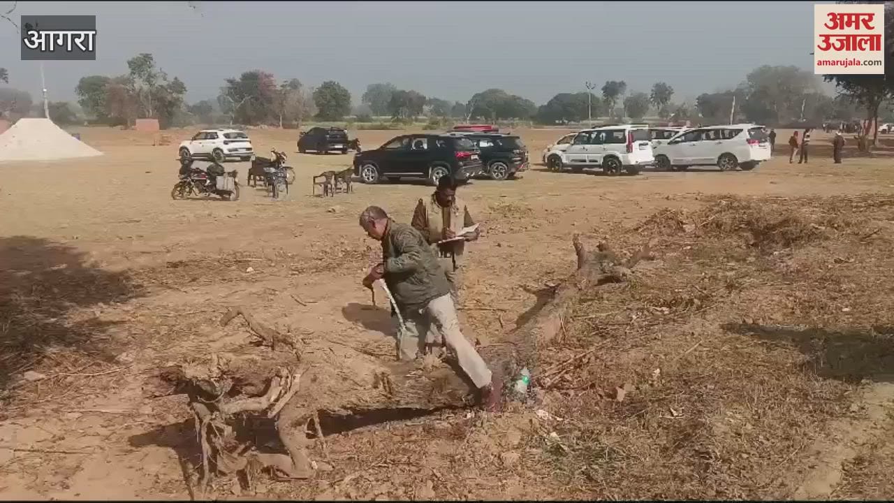 VIDEO : कॉलोनी के लिए हरे पेड़ों पर चला दी आरी, जांच करने पहुंची टीम