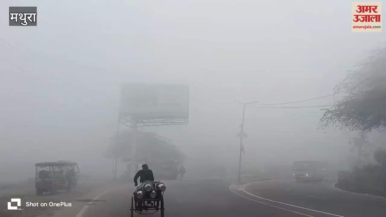 VIDEO : मथुरा में छाया घना कोहरा, विजिबिलिटी शून्य और ठिठुरन भी बढ़ी