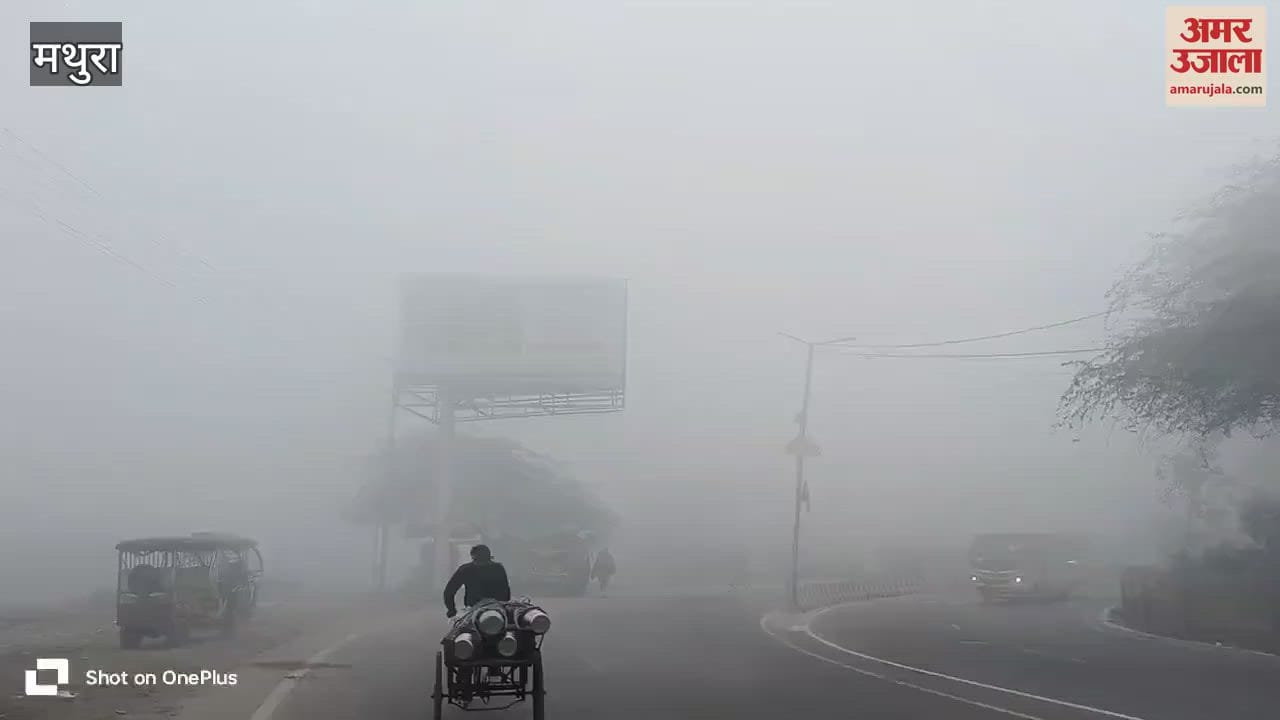 VIDEO : मथुरा में छाया घना कोहरा, विजिबिलिटी शून्य और ठिठुरन भी बढ़ी