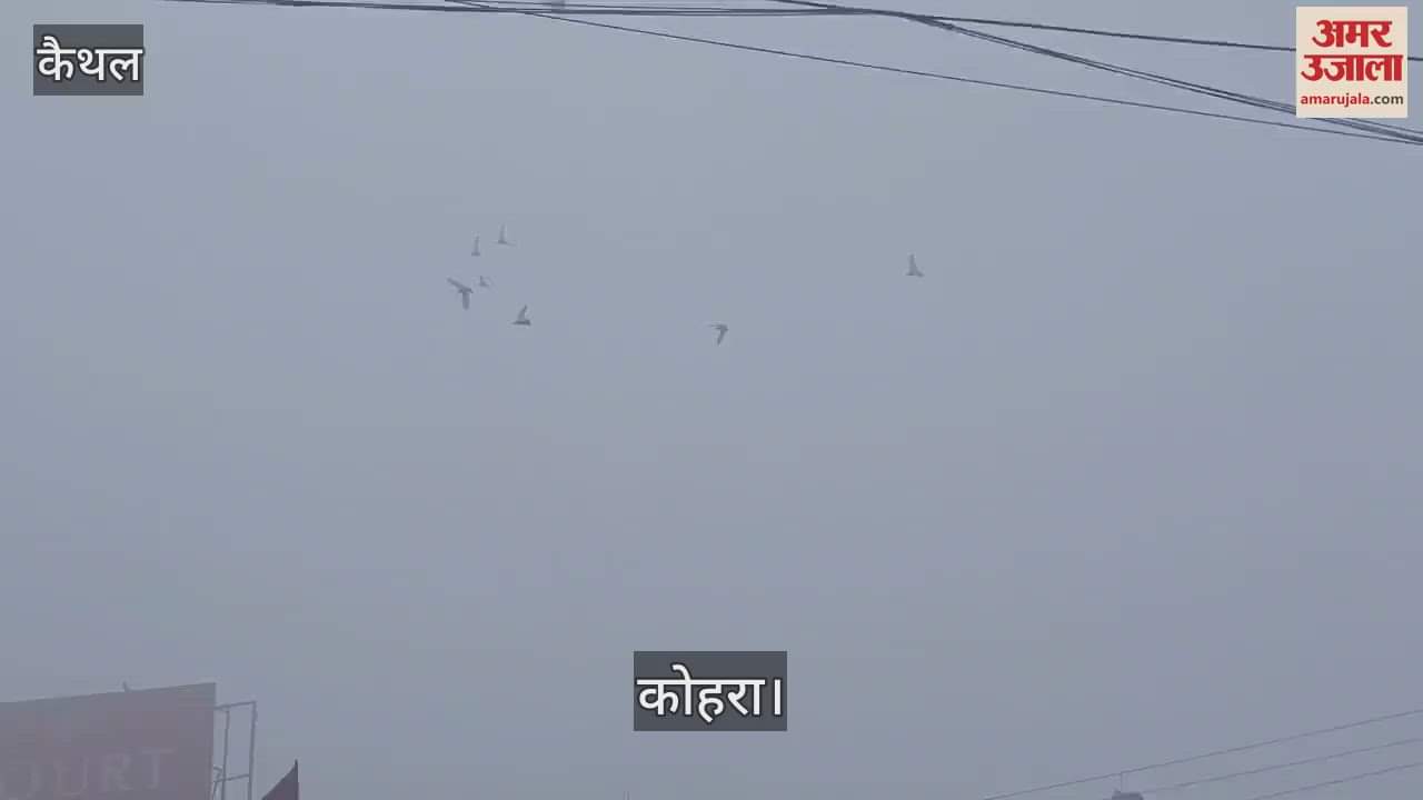 VIDEO : Dense fog engulfed Kaithal, visibility was just 50 meters