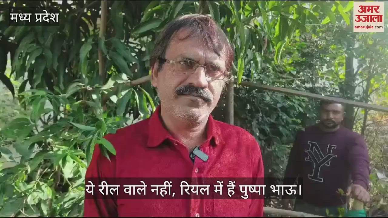 Pushpa Bhau of Maihar in MP earns lakhs by cultivating sandalwood it is supplied to Pakistan