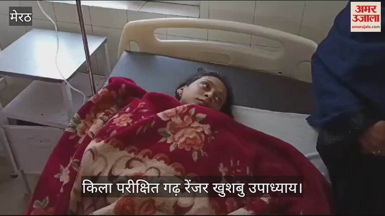 VIDEO : Leopard rescued in Bhavanpur, Meerut