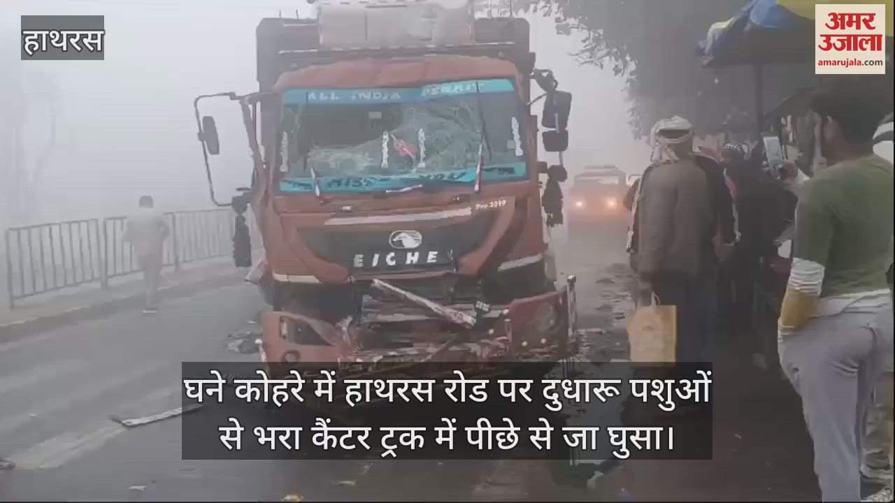 VIDEO : घने कोहरे में हाथरस रोड पर दुधारू पशुओं से भरा कैंटर ट्रक में पीछे से जा घुसा
