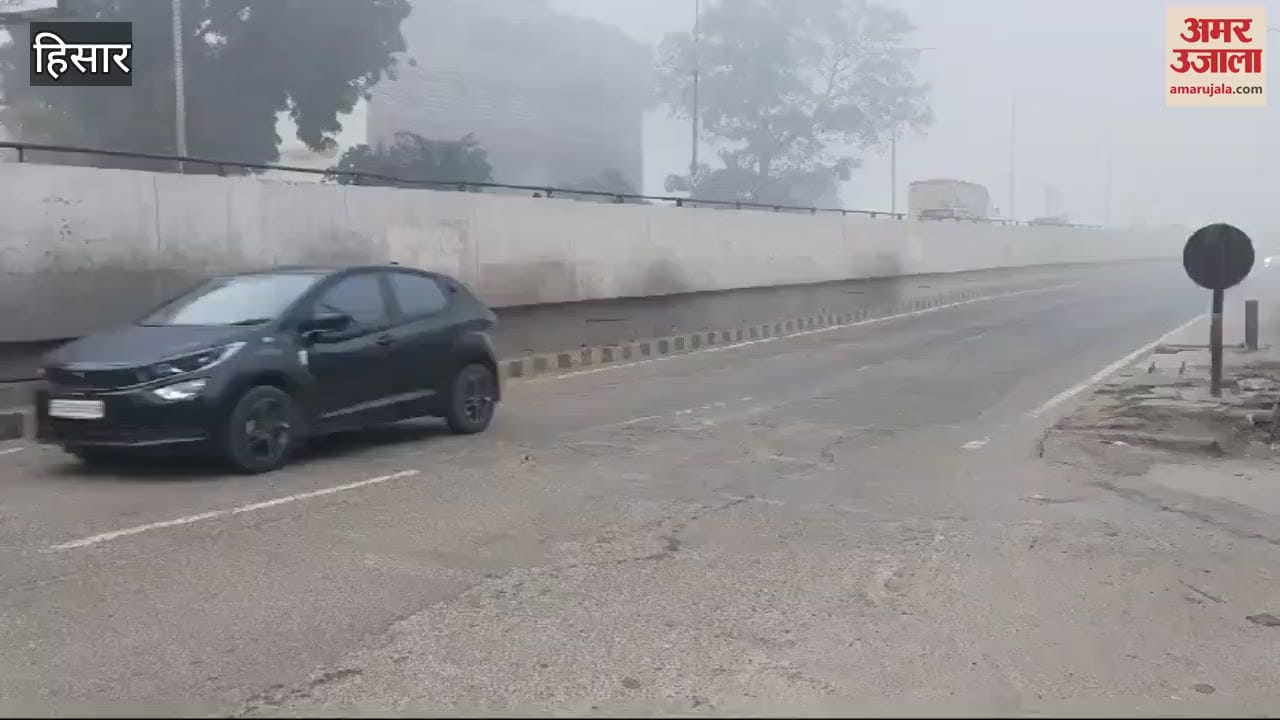 VIDEO : Fog in Hisar
