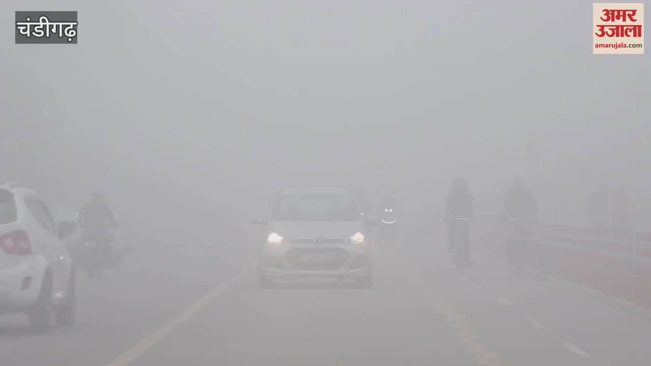 VIDEO : Fog in Chandigarh