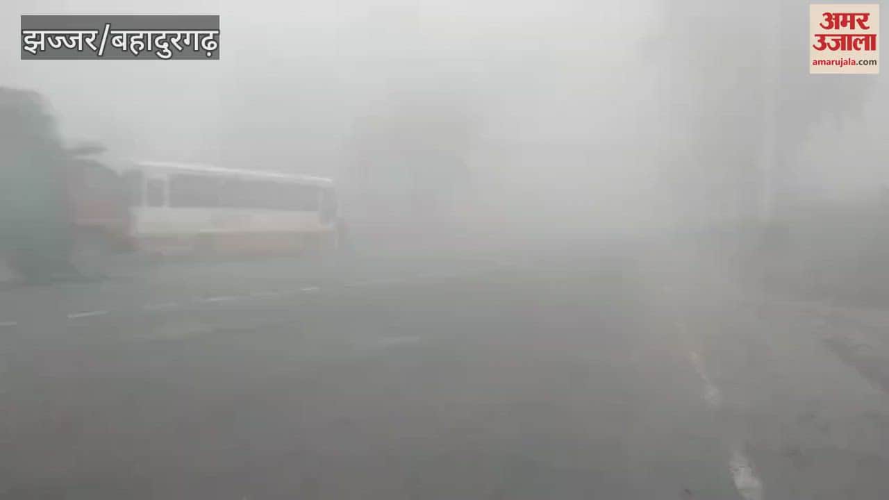 VIDEO : fog in jhajjar