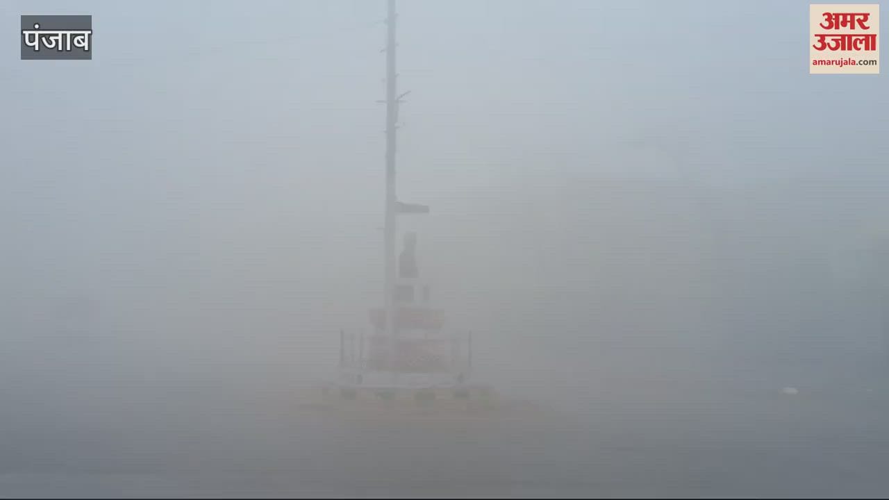 VIDEO : Fog in Faridkot