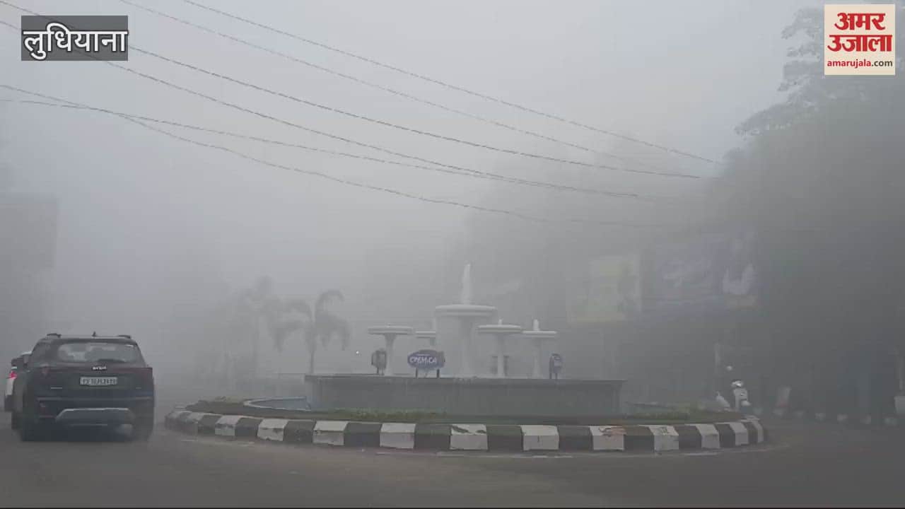 VIDEO : Fog in Ludhiana