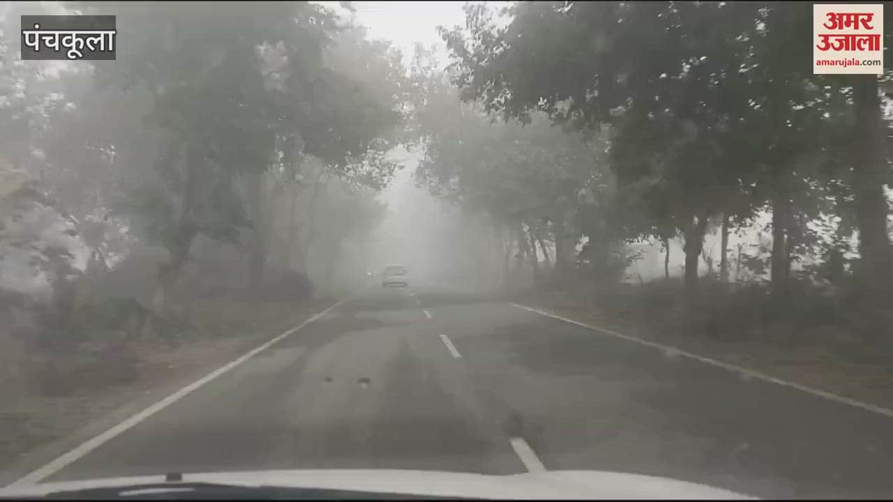 VIDEO : Fog in Panchkula