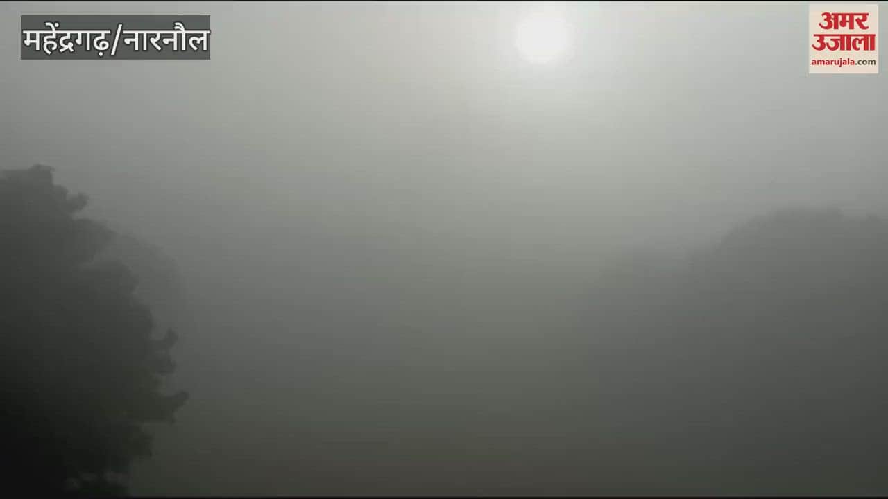 VIDEO : Due to fog in Narnaul the visibility was less than 10 meters