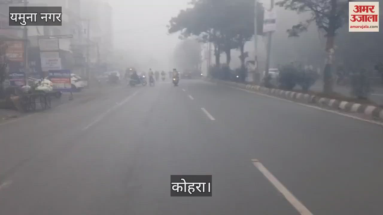 VIDEO : Fog intensified in Yamunanagar at around 8 pm on Friday night, there was some relief from the wind in the morning