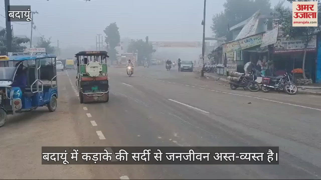 VIDEO : कोहरा और शीतलहर की चपेट में बदायूं जिला, कड़ाके की सर्दी से कांपे लोग